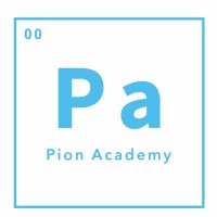 Pion Academy logo - Similar company to Solvio