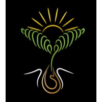 VertiGenix logo - Similar company to Age Capital Group
