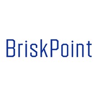 BriskPoint Technology logo - Similar company to Grid Symphony