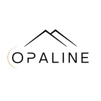 Opaline logo - Similar company to Saj