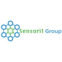 Sensorit.io logo - Similar company to 1Pay Africa