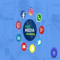 Social Media Managers USA logo - Similar company to Ipcs Digital