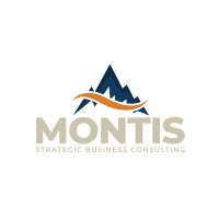 Montis Global LLC logo - Similar company to Envinion
