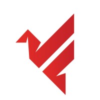 Feanix logo - Similar company to Bingemi