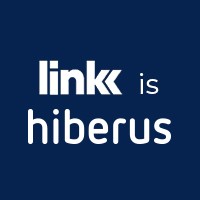 LinkDigital logo - Similar company to Hiberus