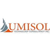 Lumisol Technology Consultancy logo - Similar company to Point Solutions Inc.