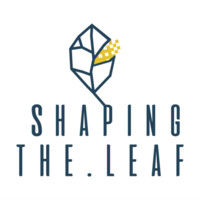 shaping.the.leaf logo - Similar company to O'Learys Gent