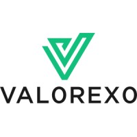Valorexo logo - Similar company to Exapro