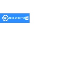 Intelli Analytic IQ logo - Similar company to Analyticiq