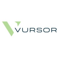 Vursor logo - Similar company to Idl Projects Inc.