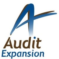 Audit Expansion logo - Similar company to Tec Audit