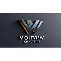 VoltView Analytics logo - Similar company to Safebridge Risk