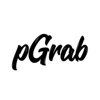 pGrab logo - Similar company to Shenzhen Skieer Information And Technology Co.Ltd
