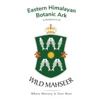 Wild Mahseer logo - Similar company to Hls Ltd