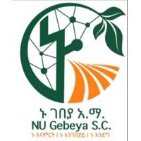 NU Gebeya S.c. logo - Similar company to Mediamyne