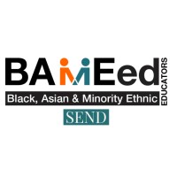 BAMEed SEND logo - Similar company to Bameednetwork