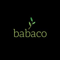 Babaco Clothing Company logo - Similar company to Sky Flowers Company