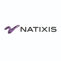 Natixis TradEx Solutions logo - Similar company to The Mirror Office