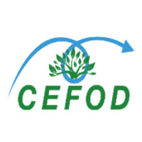 Cefod Group logo - Similar company to Upper Level Experience Group