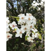 Fans of Steve logo - Similar company to Datafabric