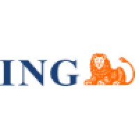 Grupo Financiero Ing Y Afp Capital