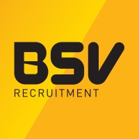 BSV Recruitment Limited logo - Similar company to Celtex Recruitment