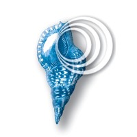 ShellNET logo - Similar company to Monte Castelo Eventos