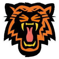 Pg Hoops Aau