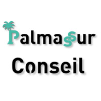 Palmassur Conseil logo - Similar company to Zenassur