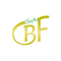 Guangxi Binyang Benfly Art & Craft Co., Ltd. logo - Similar company to Line To Space