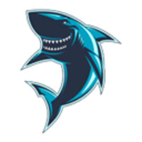 LeadShark logo - Similar company to Leadshark System
