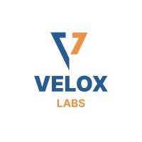 Velox Labs logo - Similar company to Nnine Solution
