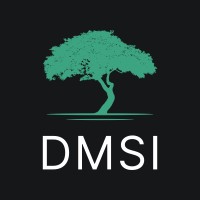 DMSI logo - Similar company to Dmsi