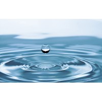 Patriot Environmental Management, LLC logo - Similar company to Forino