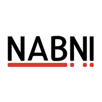 Nabni Studio logo - Similar company to Mindskillz