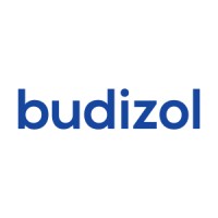 Budizol logo - Similar company to Aldea It Consulting Sp. Z O.O. Sp.K.