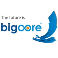 Bigcore logo - Similar company to It Industry