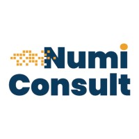 NumiConsult logo - Similar company to Intersysteme