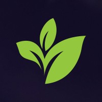 Cannara Biotech Inc. logo - Similar company to Nextleaf Solutions (Cse:Oils) (Otcqb:Oilff)