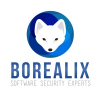 Borealix logo - Similar company to Eurecat Latam