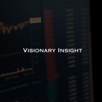 Visionary Insight logo - Similar company to Jewish Home And Care Center Foundation