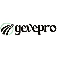 Gevepro Trámites DGT - Consultoría Vehículos logo - Similar company to Vcontenidos