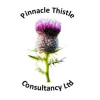 Pinnacle Thistle Consultancy Ltd logo - Similar company to Strategy One
