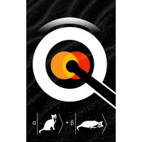QWatch logo - Similar company to Interncall