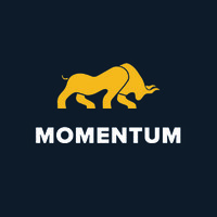 Momentum SE logo - Similar company to Mindvue