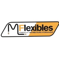 ML Flexibles logo - Similar company to Signatech.Ma