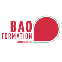 BAO Formation logo - Similar company to Nj Formations