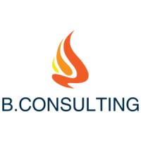 B.CONSULTING logo - Similar company to B.H First Consulting