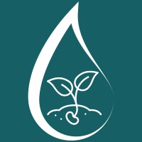 Sapling Minds logo - Similar company to Purpose Media Cbr