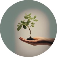 פיתוח וייעוץ ארגוני בישראל Organizational Development and Consulting in Israel logo - Similar company to Precise Synergy